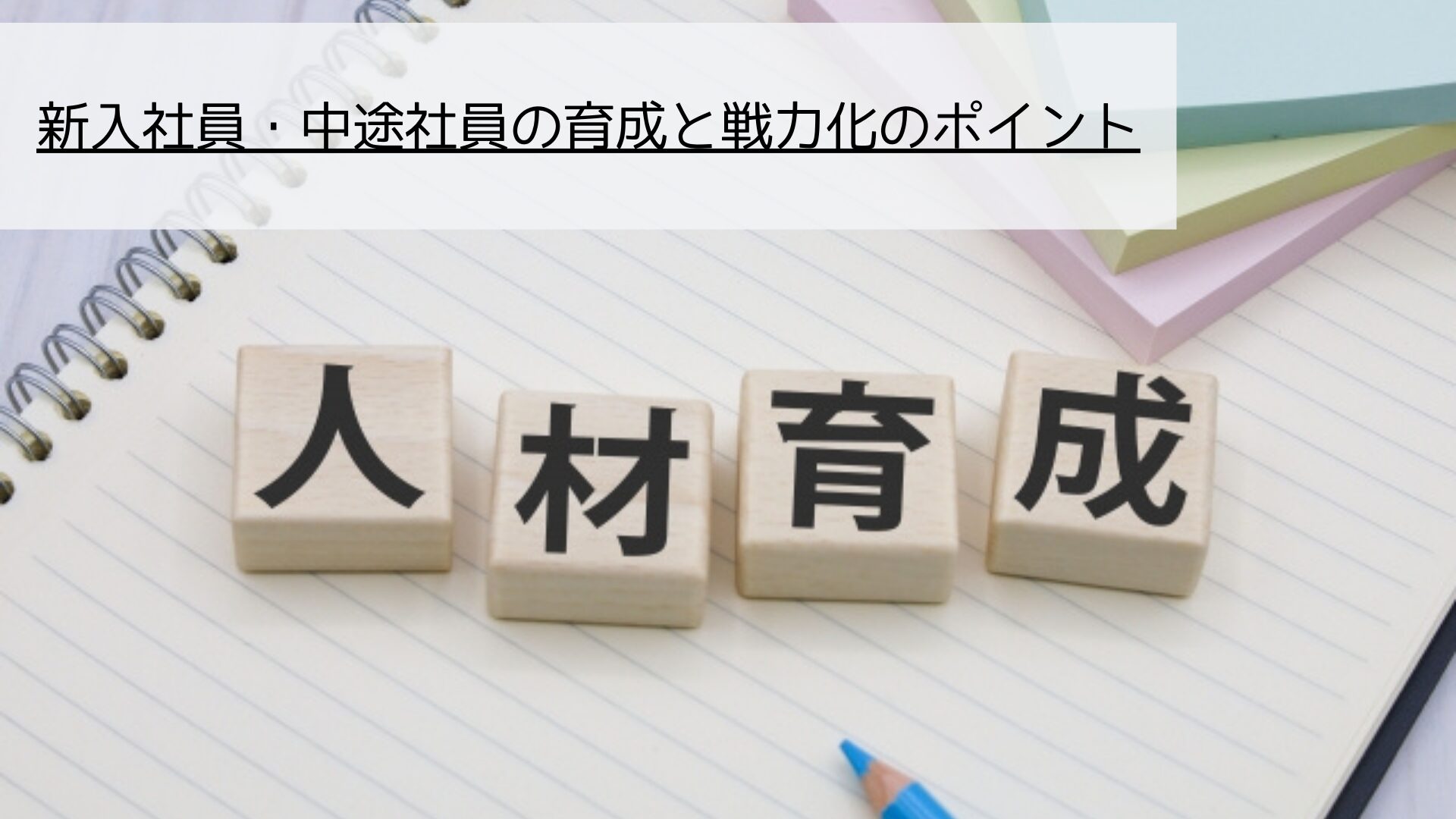 新入社員・中途社員の育成と戦力化のポイントについて解説します。