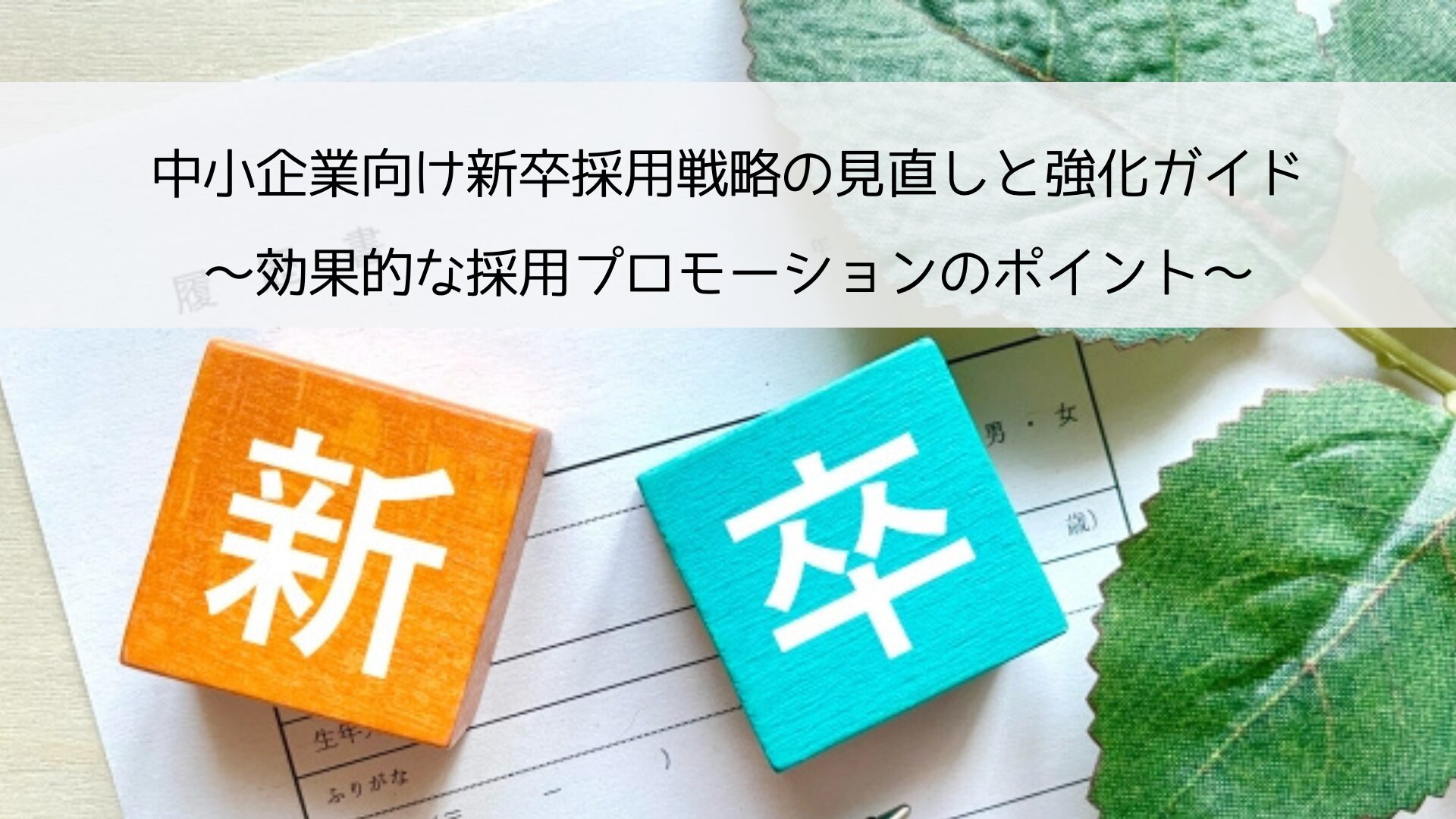 【新卒採用戦略の見直しと強化】中小企業向け新卒プロモーションのポイントを解説します