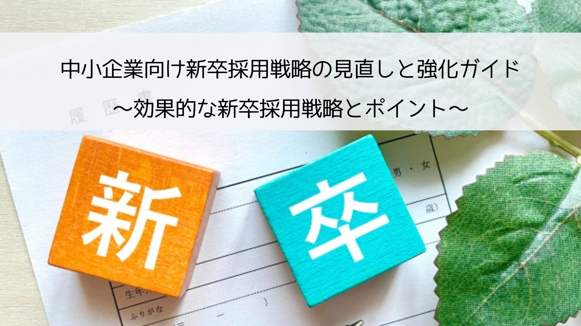 中小企業向け新卒採用戦略の見直しと強化ガイド_効果的な新卒採用戦略とポイントについて解説しています。