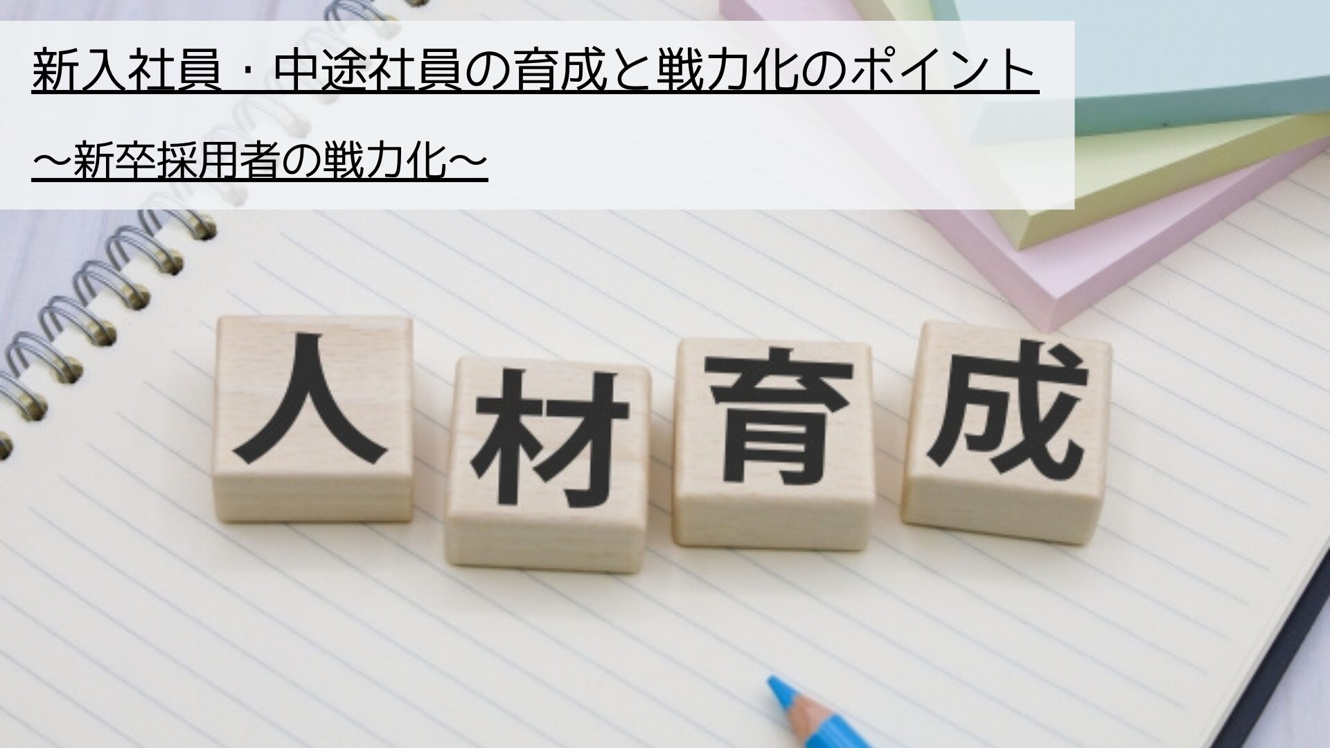 新入社員・中途社員の育成と戦力化のポイント_新卒採用者の戦力化に対して、