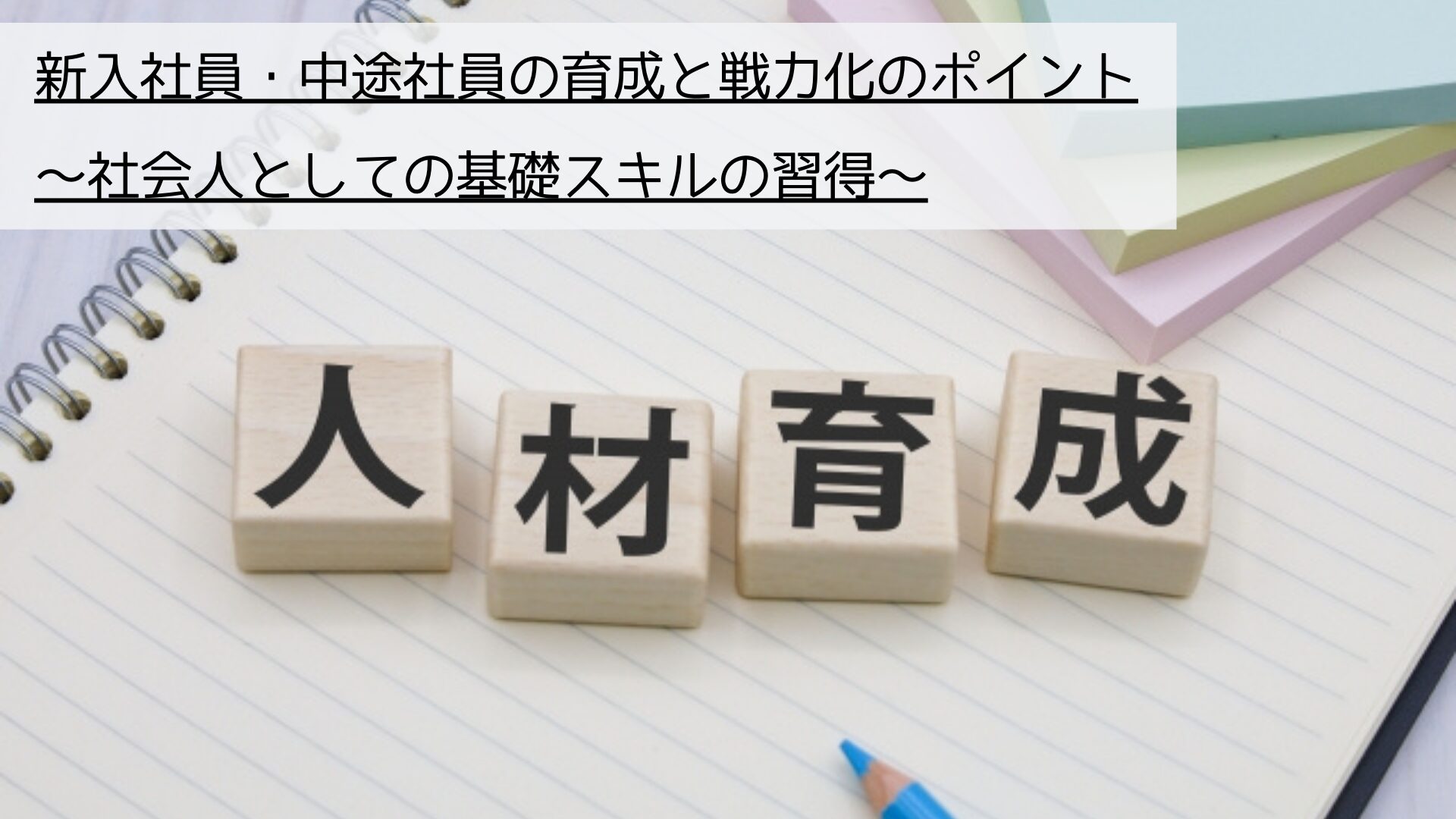 新入社員・中途社員の育成と戦力化のポイント_社会人としての基礎スキルの習得について解説します。