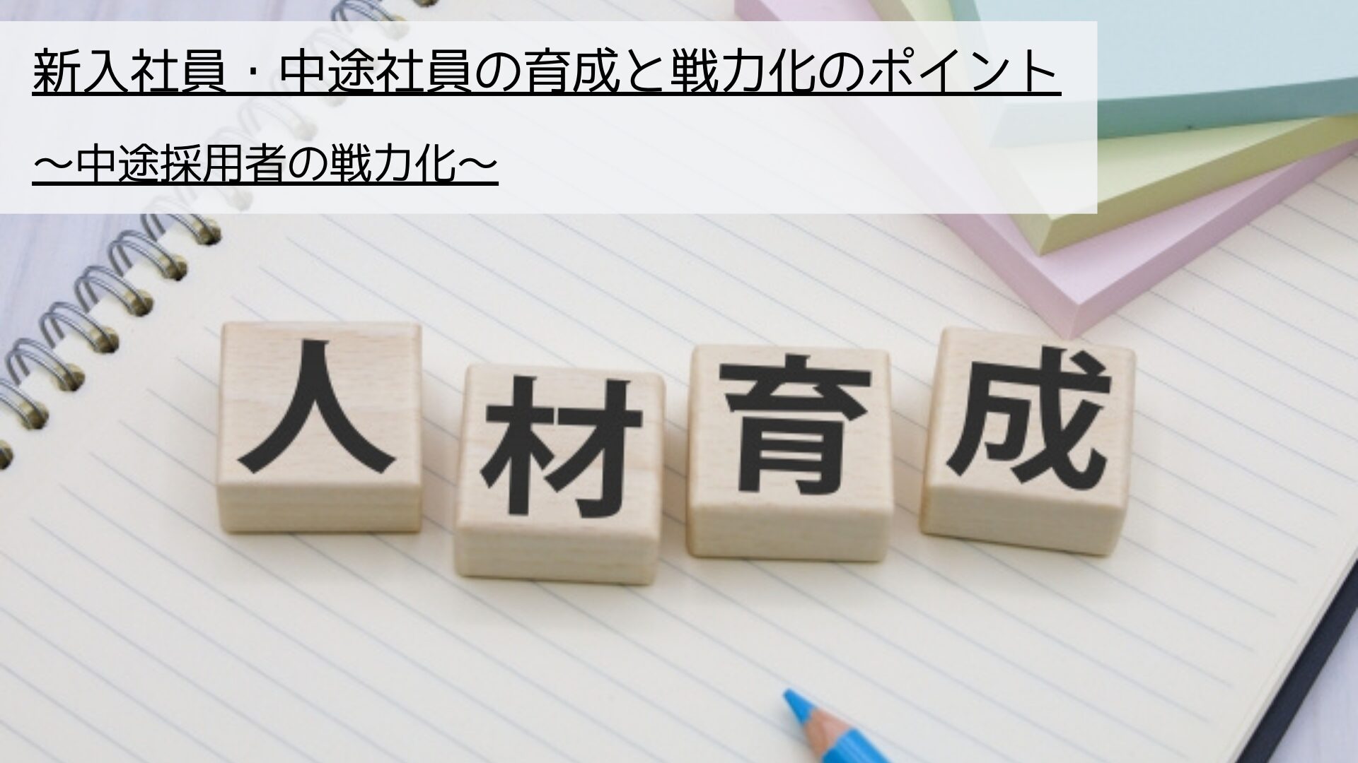 新入社員・中途社員の育成と戦力化のポイント_中途採用者の戦力化について解説します。