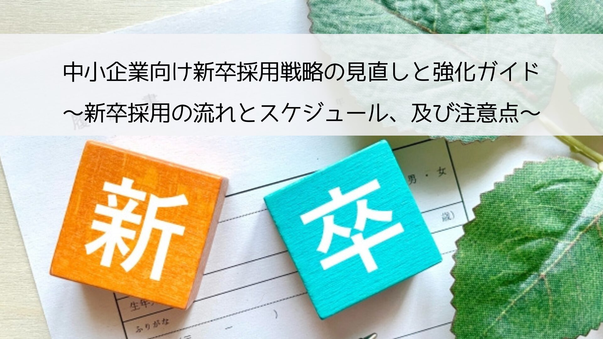 中小企業向け新卒採用戦略の見直しと強化ガイド_新卒採用の流れとスケジュール、及び注意点について解説しています。